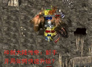 �񴴴�½���棺���ֿ�����ο���������