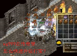 wg999�ڴ�������ô���������򱦣�