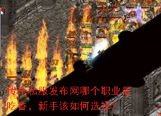 ����˽���������ĸ�ְҵ����㣬���ָ����ѡ��