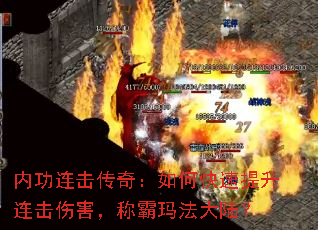 �ڹ��������棺��ο������������˺����ư��귨��½��