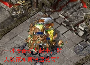һ�봫�������𲽣�ɢ�������ο��ٷ�����