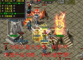 1.76��Ʒ���Ŵ��棺���ִ�����������ԣ������ã�ڣ�
