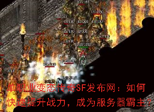 ��ְҵ��̬����SF����������ο�������ս������Ϊ������������