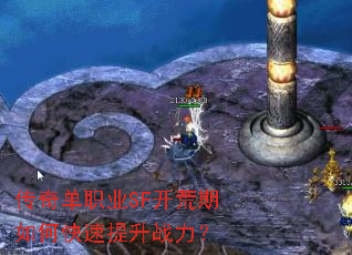���浥ְҵSF��������ο�������ս����
