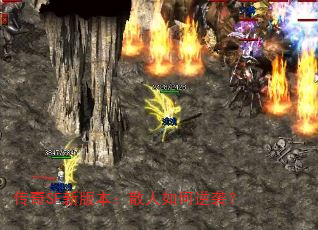 ����SF�°汾��ɢ�������Ϯ��