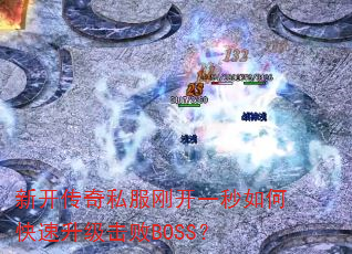 �¿�����˽���տ�һ����ο�����������BOSS��