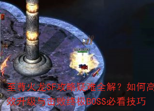 �������SF��������ȫ�⣿��θ�Ч����������ռ�BOSS�ؿ�����