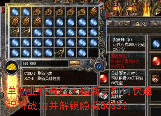 ��ְҵ���������������ο�������ս������������BOSS��