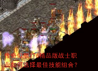 �����Ʒ�176��Ʒ��սʿְҵ���ѡ����Ѽ�����ϣ�