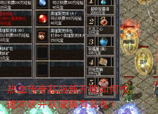 ��Ѫ����˽���¿�����ο��ٳ弶����ȡϡ��װ����