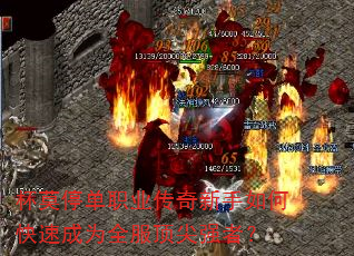 ��Īͣ��ְҵ����������ο��ٳ�Ϊȫ������ǿ�ߣ�