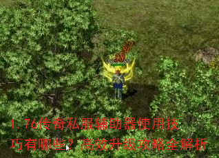 1.76����˽��������ʹ�ü�������Щ����Ч��������ȫ����