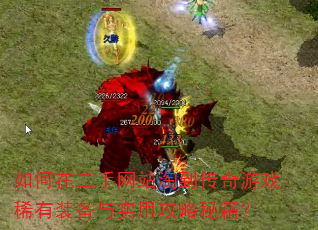 ����ڶ�����վ�Ե�������Ϸϡ��װ����ʵ�ù����ؼ���