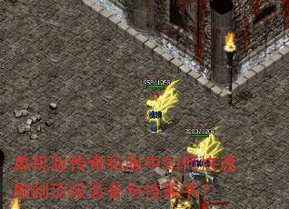 �����洫��˽������ο���ˢ������װ���뼼���飿