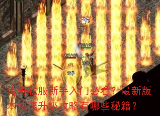 ����˽���������űؿ������°汾����������������Щ�ؼ���