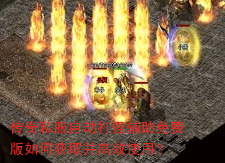 ����˽���Զ���ָ�����Ѱ���λ�ȡ����Чʹ�ã�