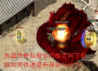 ��Ѫ����˽�����ɷ��������غ���ο��������ȼ���ս����