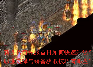 �¿�����˽��������ο���������ְҵѡ����װ����ȡ��������Щ��