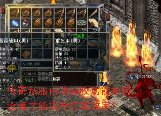 ����˽���Զ����չ���������ò���������Ч�ʣ�