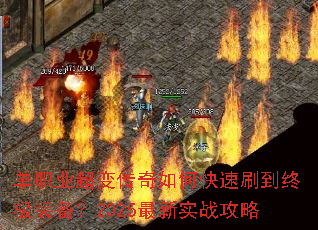 ��ְҵ���䴫����ο���ˢ���ռ�װ����2025����ʵս����