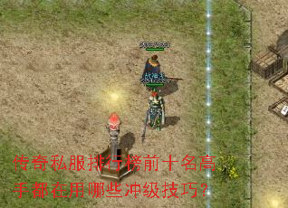 ����˽�����а�ǰʮ�����ֶ�������Щ�弶���ɣ�