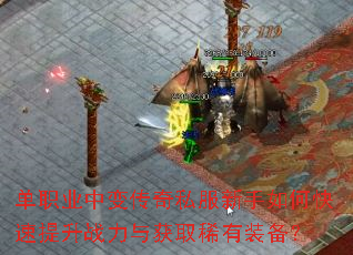 ��ְҵ�б䴫��˽��������ο�������ս�����ȡϡ��װ����