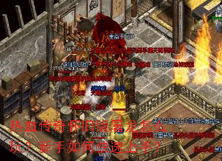��Ѫ���滳�ɰ�������ô�棿������ο������֣�
