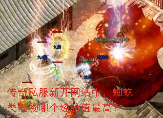 ����˽���¿���վ�У�֩��������ĸ�����ֵ��ߣ�