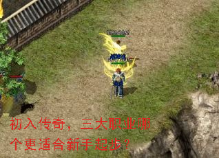 ���봫�棬����ְҵ�ĸ����ʺ������𲽣�