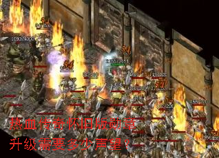 ��Ѫ���滳�ɰ�ѫ��������Ҫ����������
