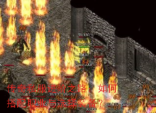 ����˽������֮·����δ���ְҵ��ѡ��װ����