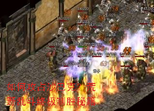 ��ι�ռɳ�Ϳˣ���Ұ�Ҷ��ռ���ʤ�ؼ�