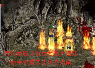 �����·�������Ϊ�Ƿ�Υ�������ֱؿ����ɷ���ָ��
